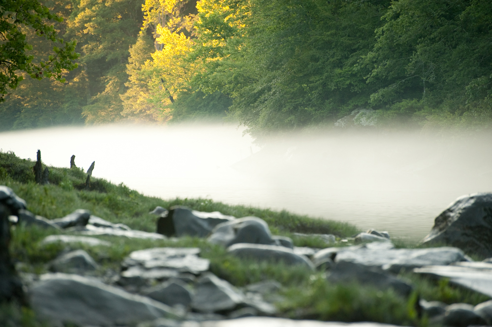 A thick fogs welcomes a cool summer morning on the Little Red River near Heber Springs, Arkansas.
